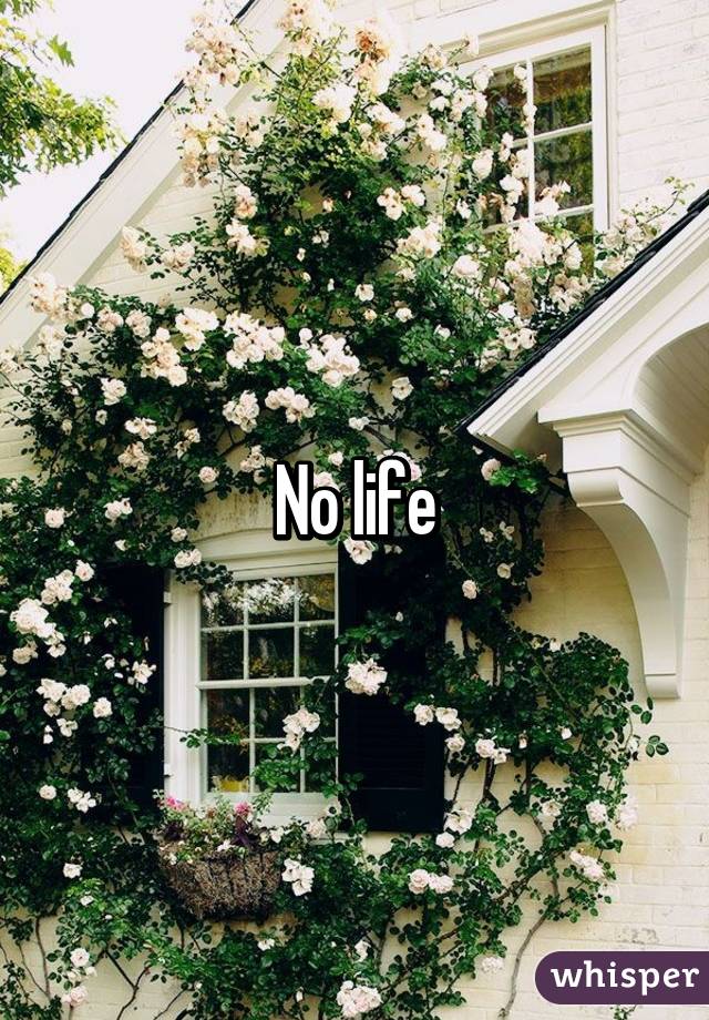 No life