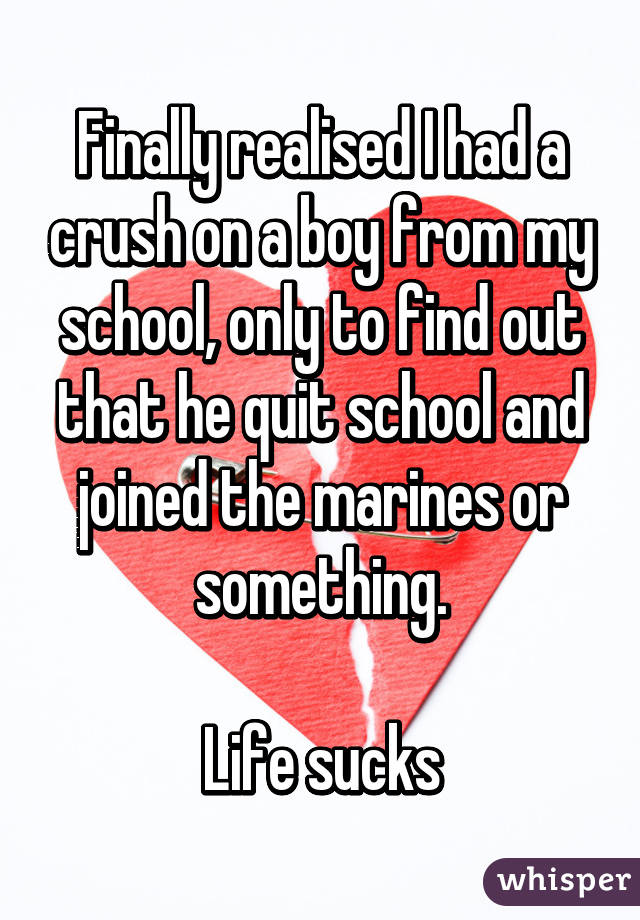 Finally realised I had a crush on a boy from my school, only to find out that he quit school and joined the marines or something.

Life sucks
