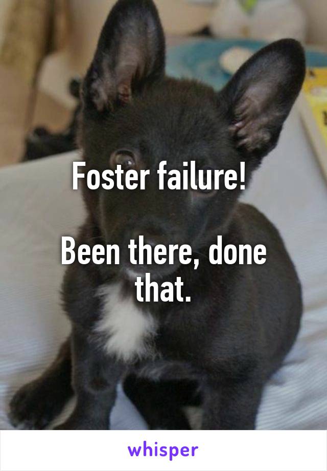 Foster failure! 

Been there, done that.