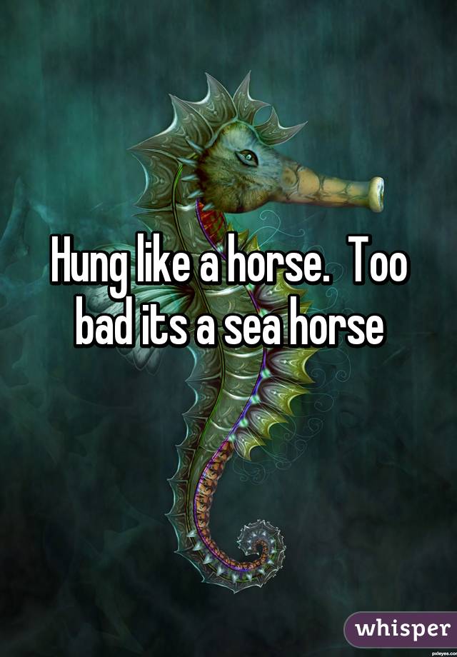 Hung like a horse.  Too bad its a sea horse
