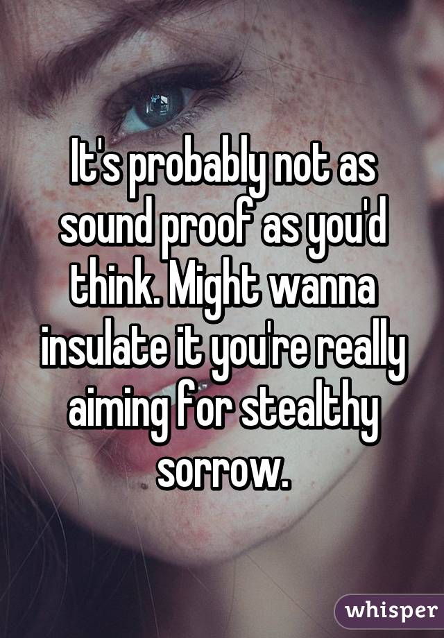 It's probably not as sound proof as you'd think. Might wanna insulate it you're really aiming for stealthy sorrow.