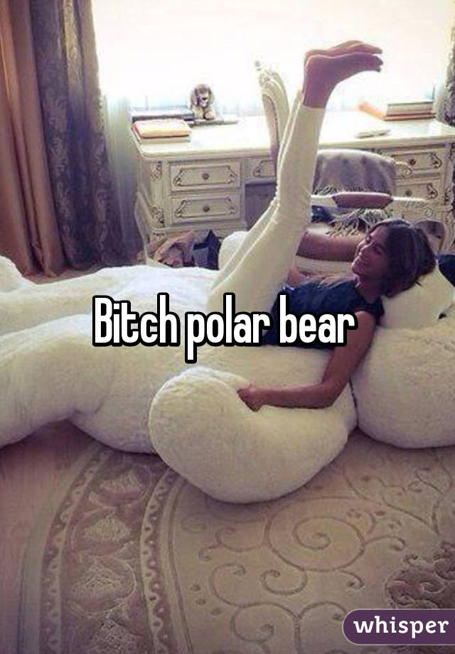 Bitch polar bear 