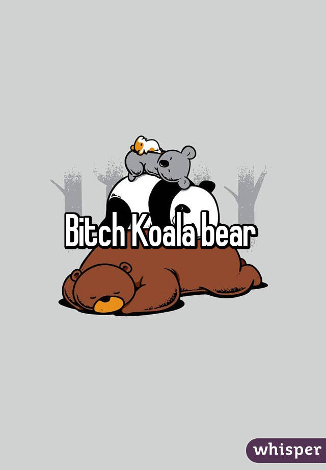 Bitch Koala bear 