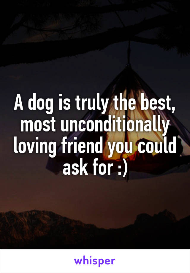 A dog is truly the best, most unconditionally loving friend you could ask for :)