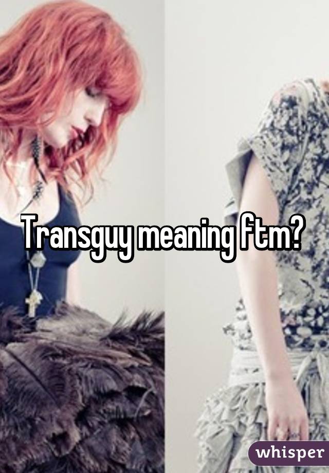 Transguy meaning ftm? 