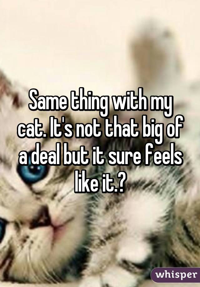 Same thing with my cat. It's not that big of a deal but it sure feels like it.😥