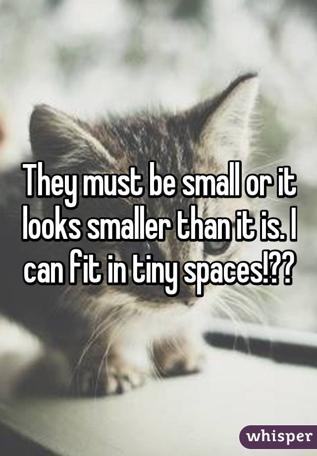 They must be small or it looks smaller than it is. I can fit in tiny spaces!😂🙌