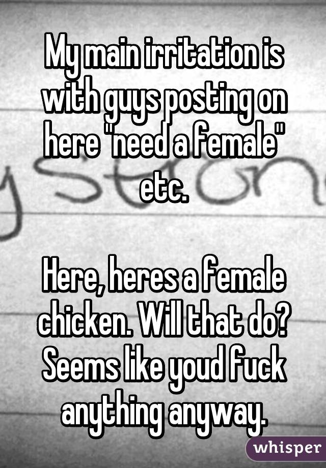 My main irritation is with guys posting on here "need a female" etc.

Here, heres a female chicken. Will that do? Seems like youd fuck anything anyway.