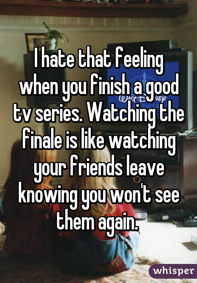 I hate that feeling when you finish a good tv series. Watching the finale is like watching your friends leave knowing you won't see them again. 