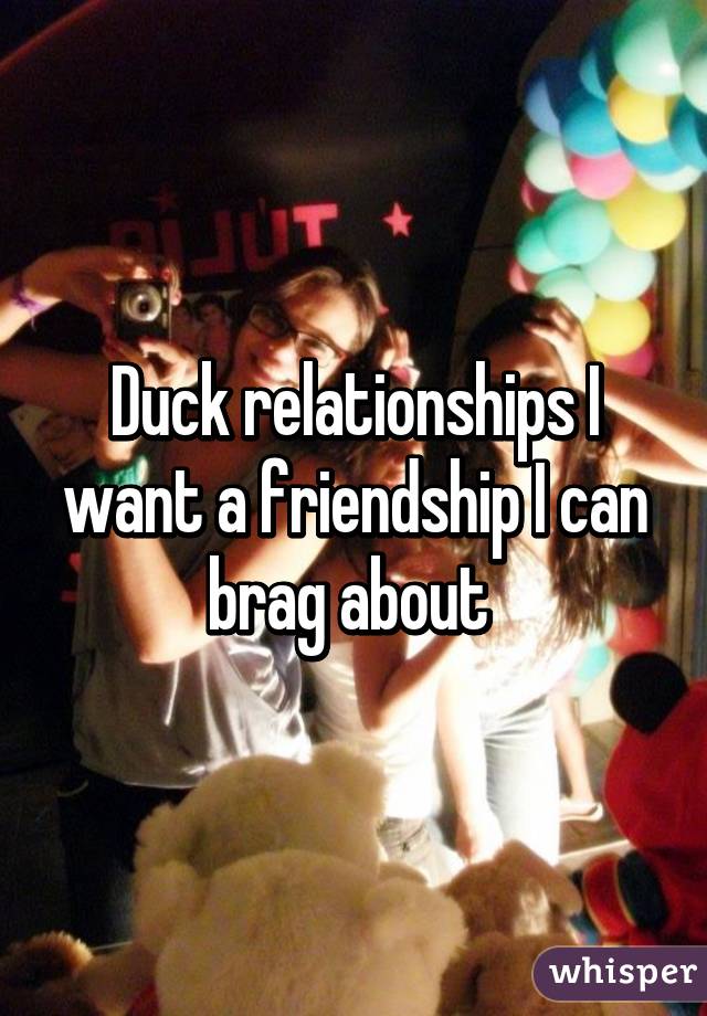 Duck relationships I want a friendship I can brag about 