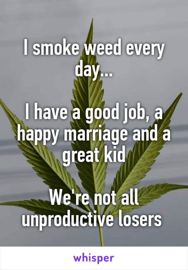 I smoke weed every day...

I have a good job, a happy marriage and a great kid

We're not all unproductive losers 