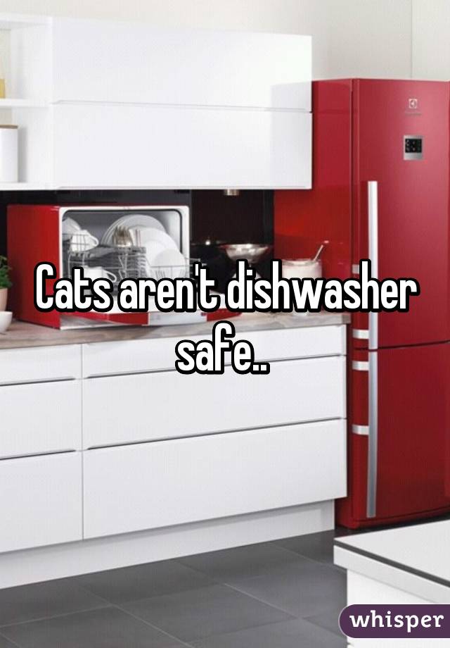 Cats aren't dishwasher safe.. 