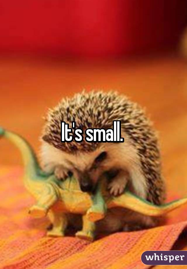 It's small. 