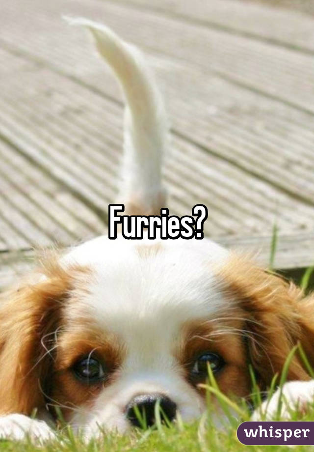 Furries?