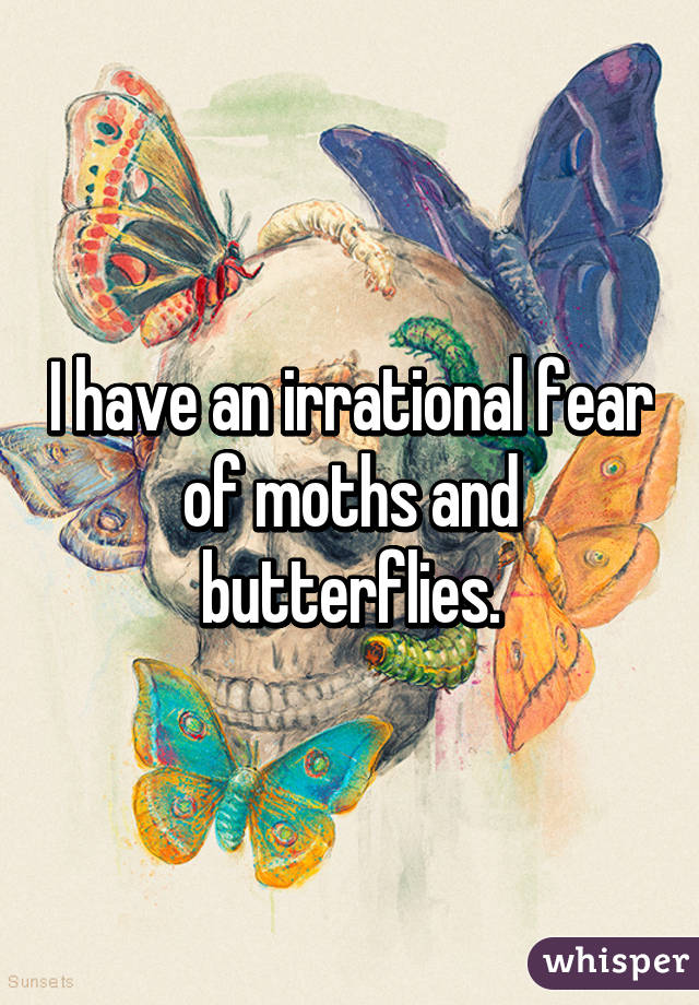 I have an irrational fear
of moths and butterflies.