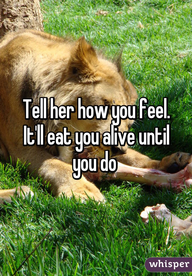 Tell her how you feel. It'll eat you alive until you do 