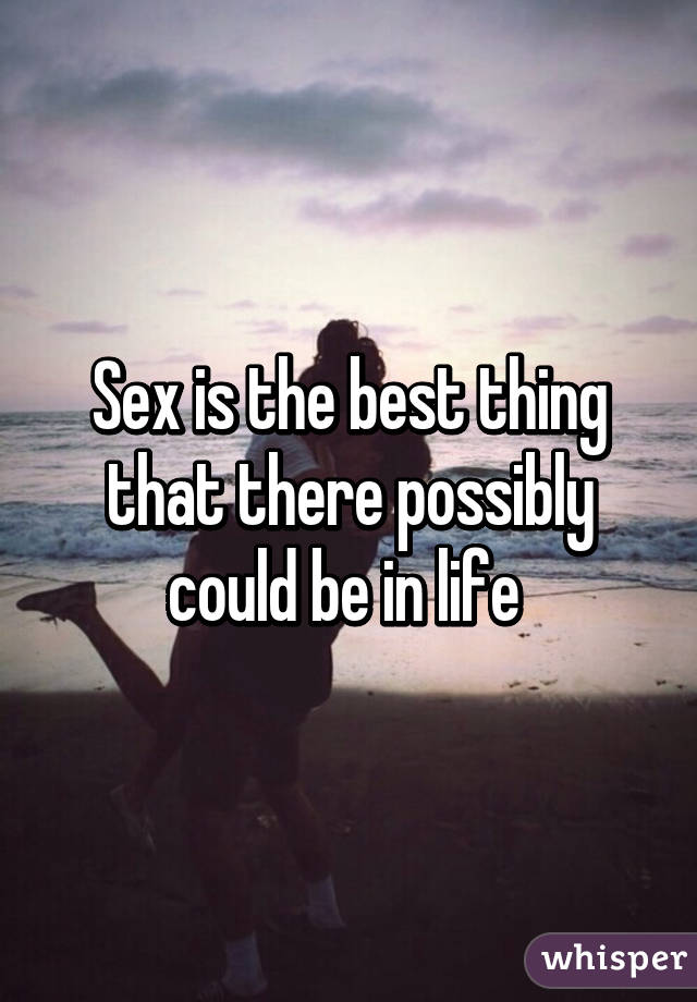 Sex is the best thing that there possibly could be in life 