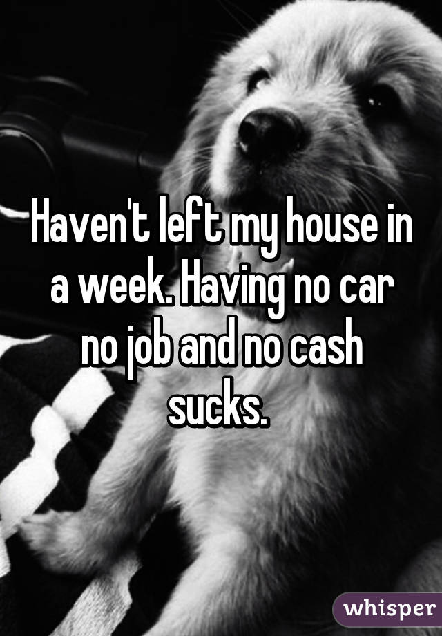 Haven't left my house in a week. Having no car no job and no cash sucks. 
