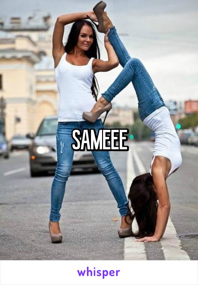 SAMEEE