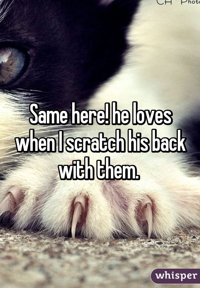 Same here! he loves when I scratch his back with them. 
