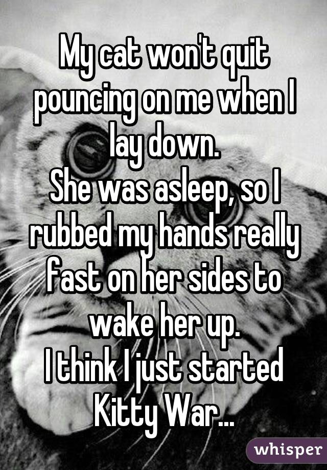 My cat won't quit pouncing on me when I lay down.
She was asleep, so I rubbed my hands really fast on her sides to wake her up.
I think I just started Kitty War...