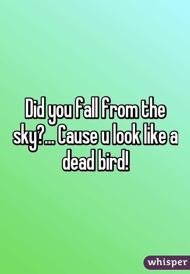 Did you fall from the sky?... Cause u look like a dead bird!
