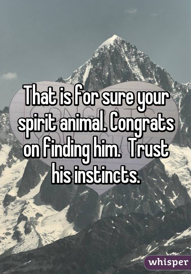 That is for sure your spirit animal. Congrats on finding him.  Trust his instincts.