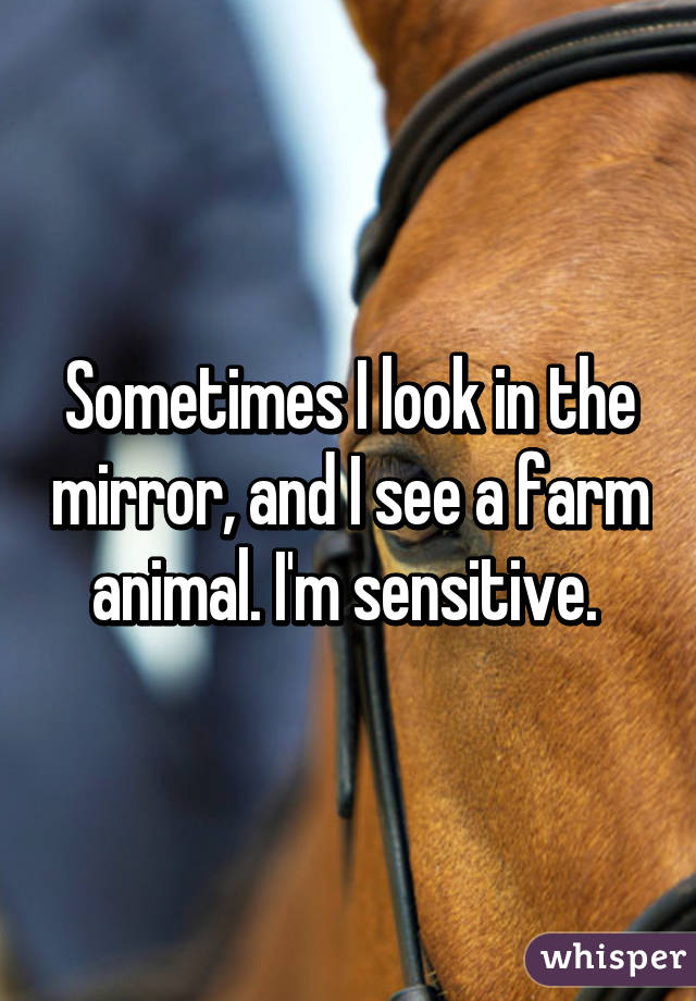 Sometimes I look in the mirror, and I see a farm animal. I'm sensitive. 