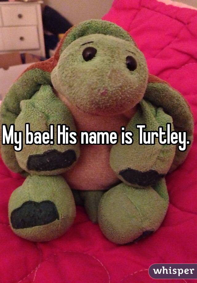 My bae! His name is Turtley. 