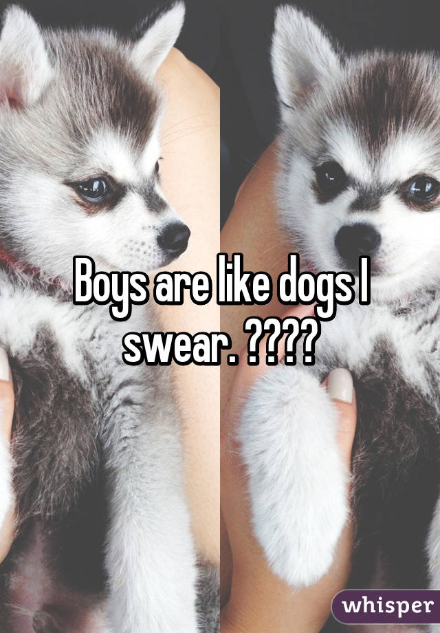 Boys are like dogs I swear. 😂😂😂😍