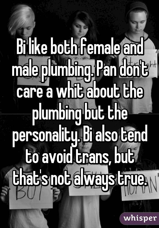 Bi like both female and male plumbing. Pan don't care a whit about the plumbing but the personality. Bi also tend to avoid trans, but that's not always true.