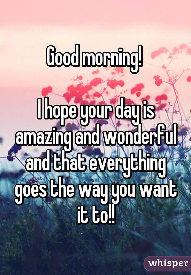 Good morning! 

I hope your day is amazing and wonderful and that everything goes the way you want it to!!