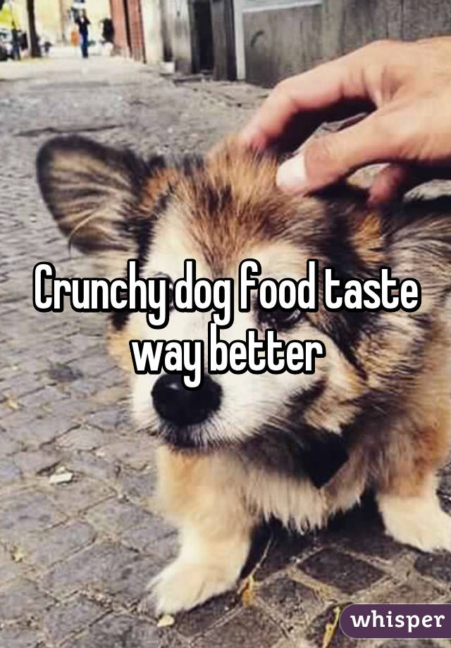 Crunchy dog food taste way better