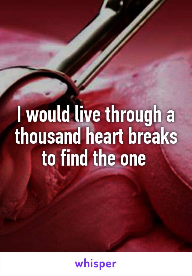I would live through a thousand heart breaks to find the one 