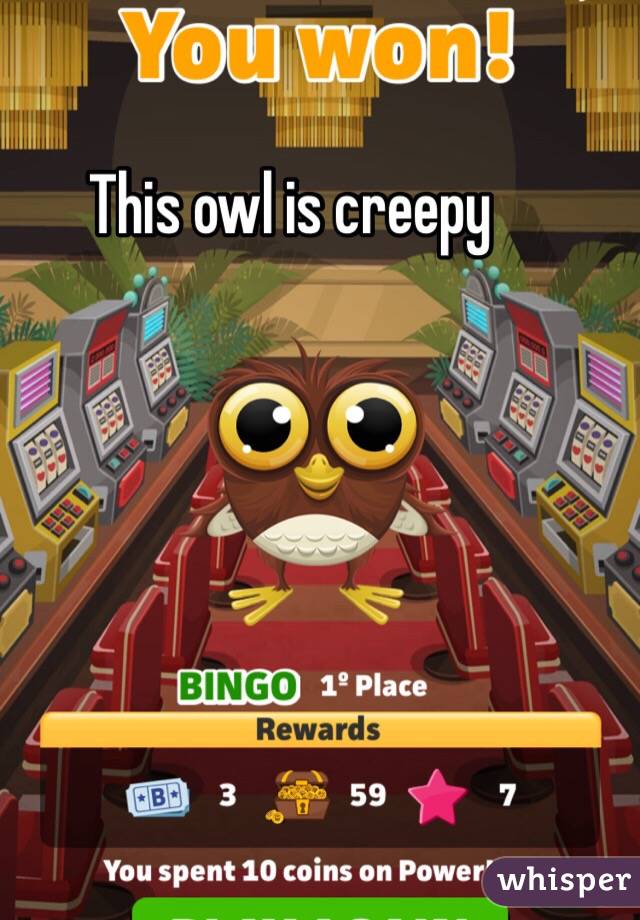 This owl is creepy