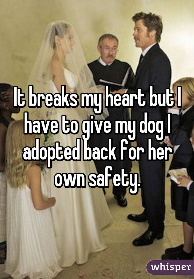 It breaks my heart but I have to give my dog I adopted back for her own safety.