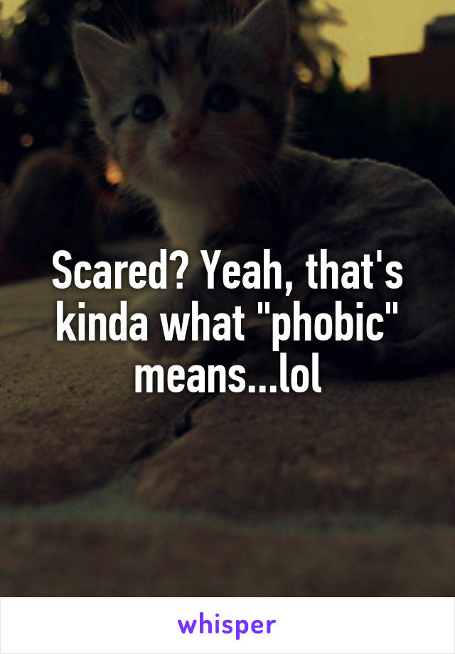 Scared? Yeah, that's kinda what "phobic" means...lol