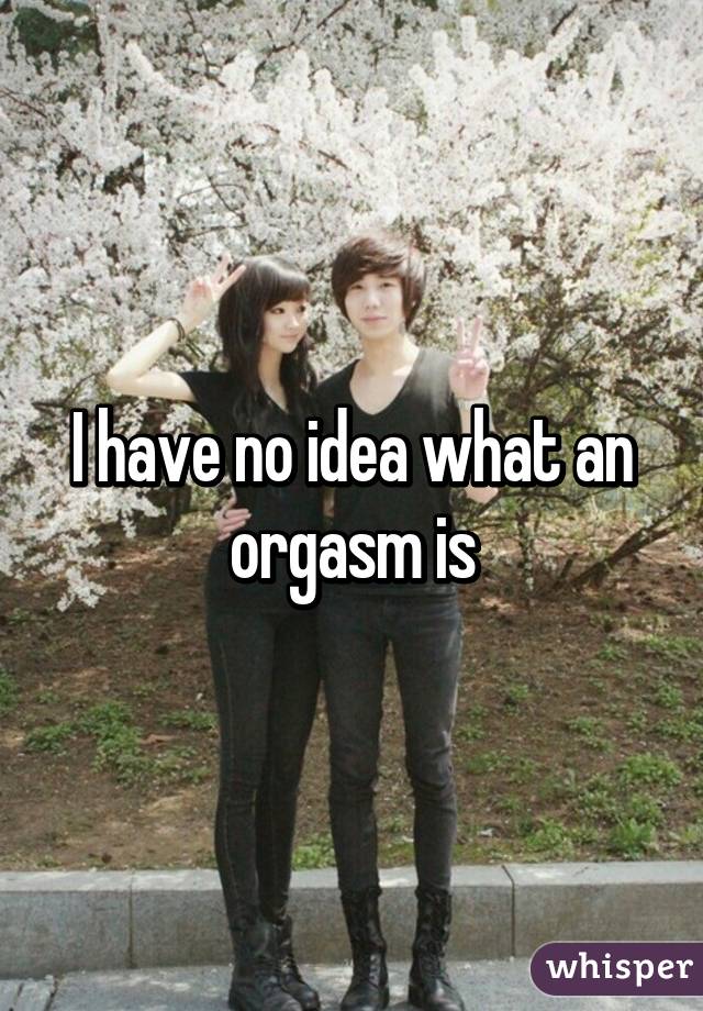 I have no idea what an orgasm is