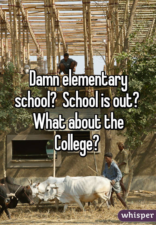 Damn elementary school?  School is out?  What about the College? 