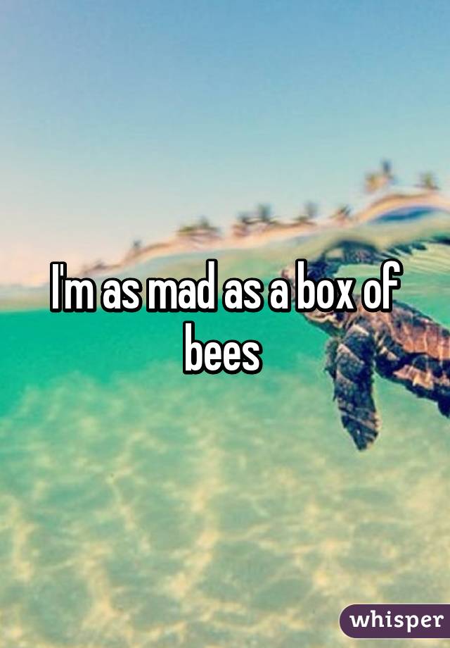 I'm as mad as a box of bees 