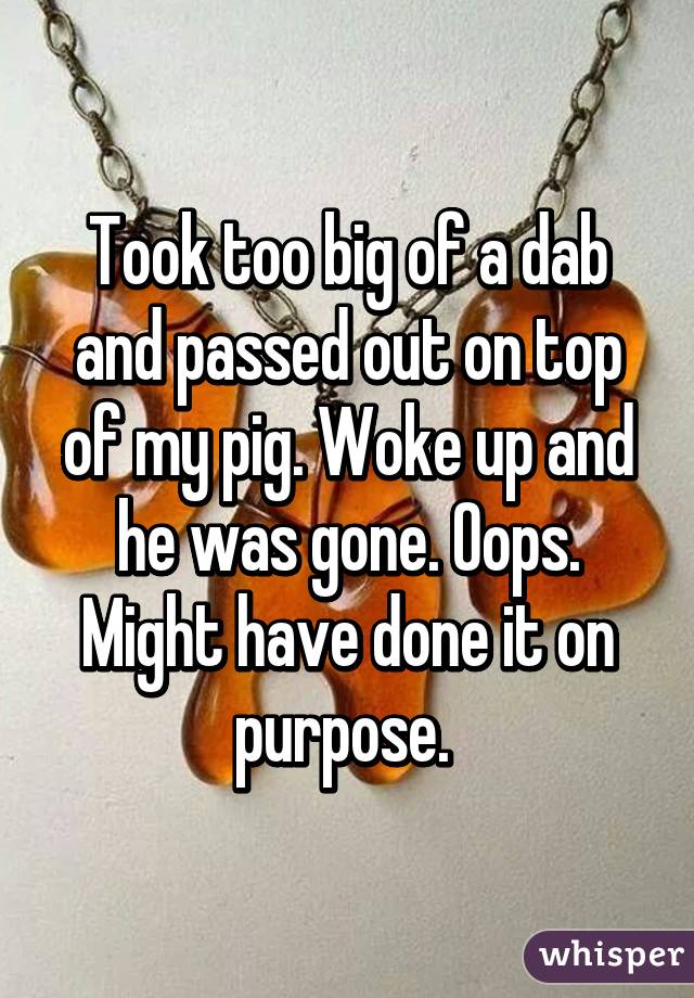 Took too big of a dab and passed out on top of my pig. Woke up and he was gone. Oops. Might have done it on purpose. 