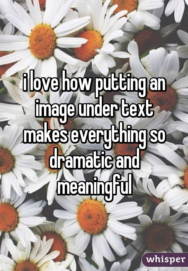 i love how putting an image under text makes everything so dramatic and meaningful