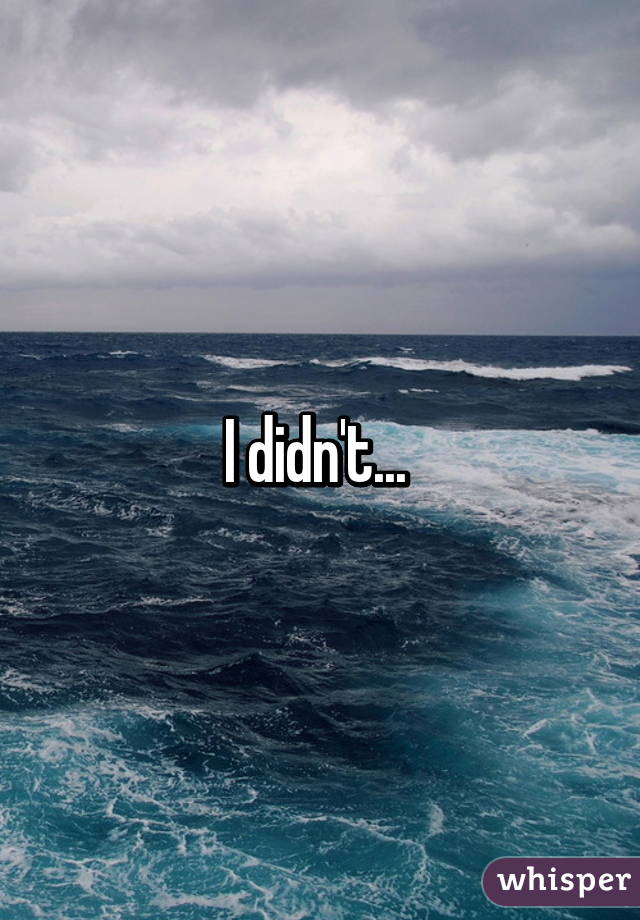 I didn't... 