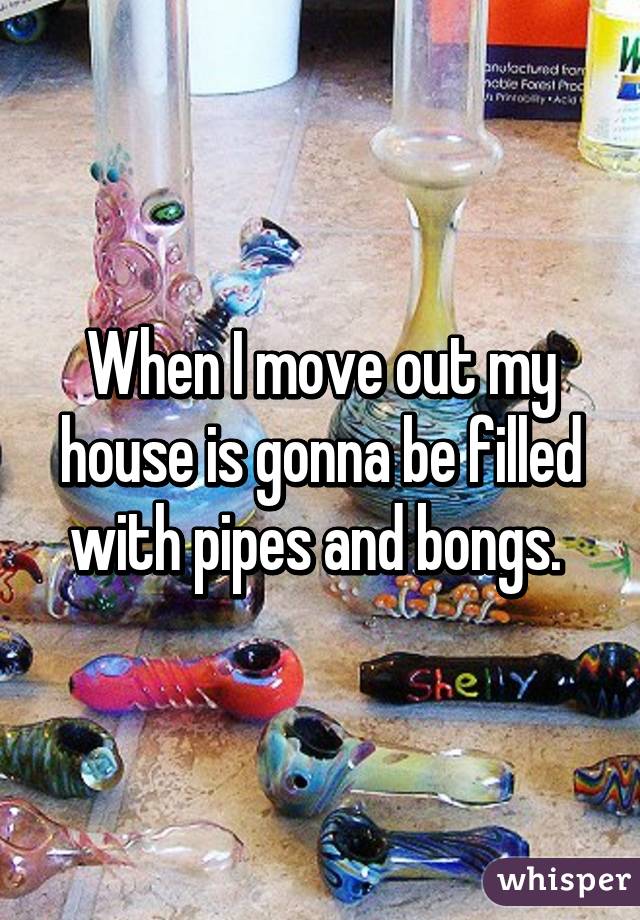 When I move out my house is gonna be filled with pipes and bongs. 