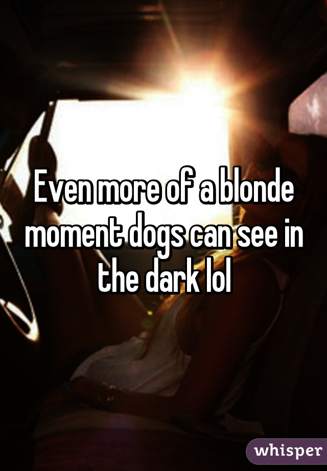 Even more of a blonde moment dogs can see in the dark lol