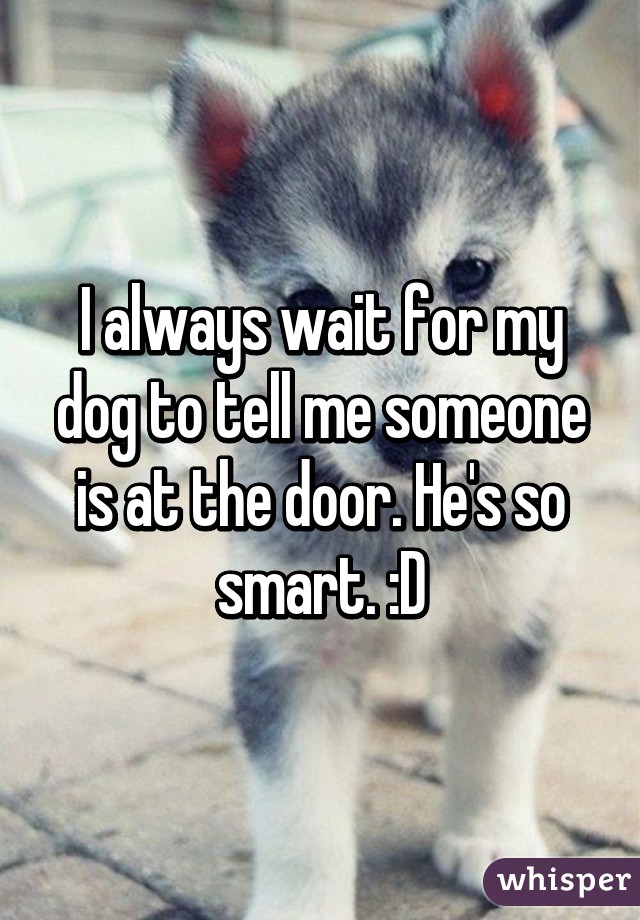 I always wait for my dog to tell me someone is at the door. He's so smart. :D