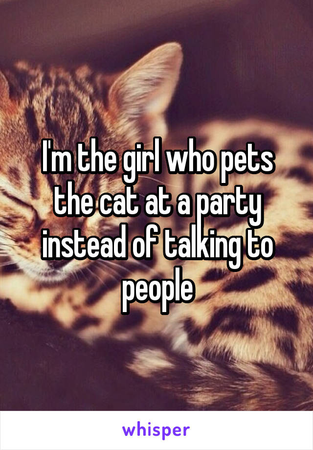 I'm the girl who pets the cat at a party instead of talking to people
