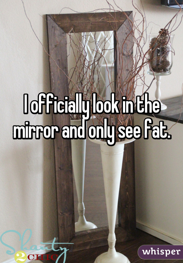 I officially look in the mirror and only see fat. 