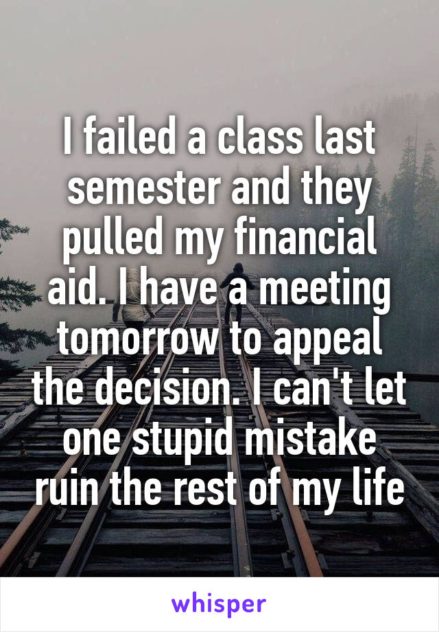 I failed a class last semester and they pulled my financial aid. I have a meeting tomorrow to appeal the decision. I can't let one stupid mistake ruin the rest of my life