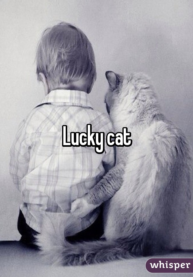 Lucky cat
